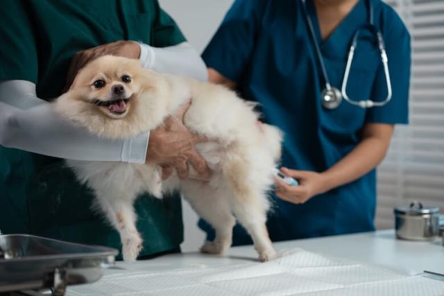Urgent Care